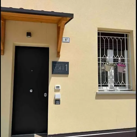 Appartamento Berretta Loft 1 *